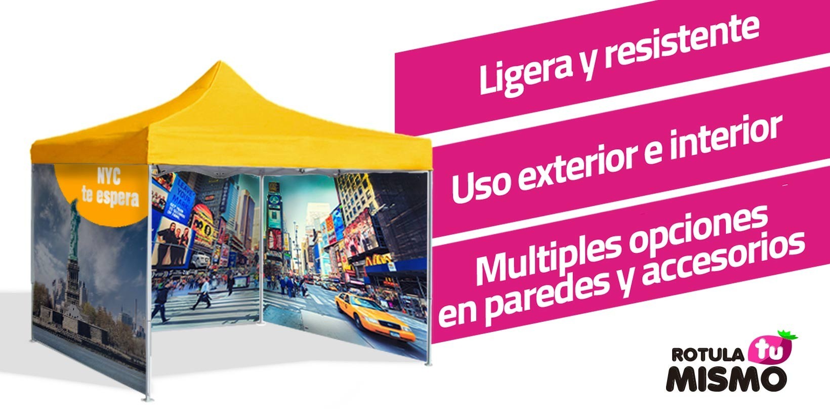 Carpa plegable desplegable de 10 x 10 pies con bolsa de transporte (verde)