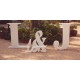 Letras Gigantes Boda