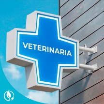 Cruz veterinaria