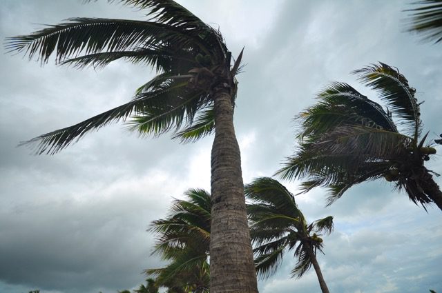 prolongar rotulos clima viento