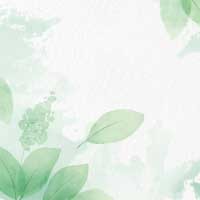 Naturaleza
