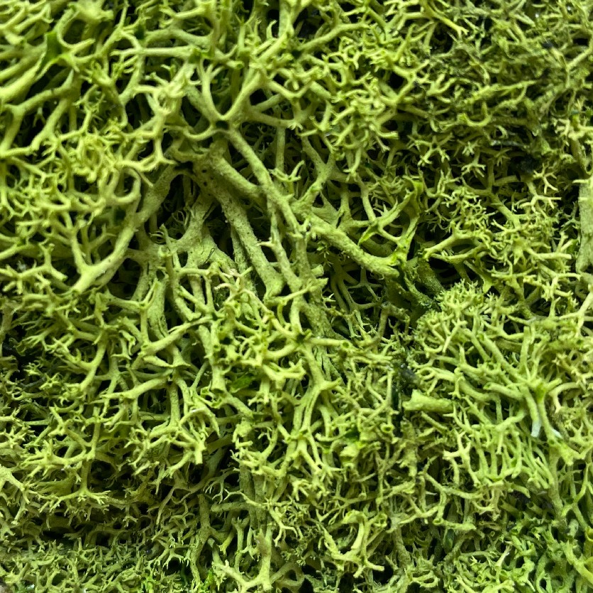 Verde
