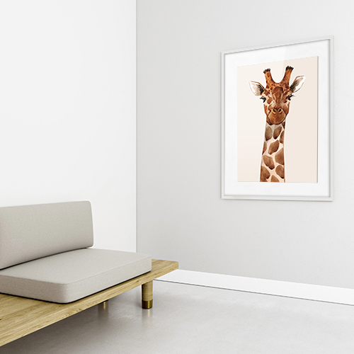 Animales